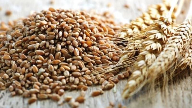 Hububat Ürünlerinin Fiyatları Yine Değişti! 8 Mart 2023 Gaziantep Hububat Ürünleri Fiyatları Güncellendi! 1