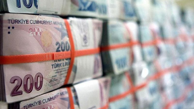 Hesaplarınızı Acilen Kontrol Edin! Bakanlık 4336 TL'yi Hesaplara Yatırmaya Başladı! 2