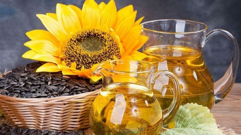 Kuraklık Ayçiçeği Üretimini Tehdit Ediyor! Fiyatı Yüzde 30 Düşen Ayçiçeğinde Korkunç Beklenti: Tek Çare… 2