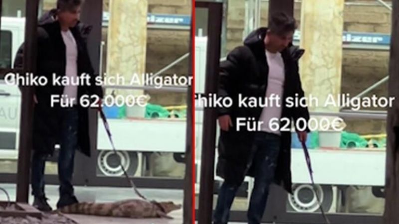 Loto Milyoneri Gurbetçiye Piyango Bir Kez Daha Vurdu: Adamdaki Şansa Bak! Bir Timsah Daha Alacak Mı? 3
