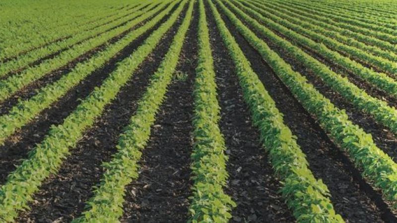 Çiftçiye hibe desteği için başvuru ekranı bugün açıldı! İlk kez bir belediye üreticiye yüzde 75 hibe verecek! 1