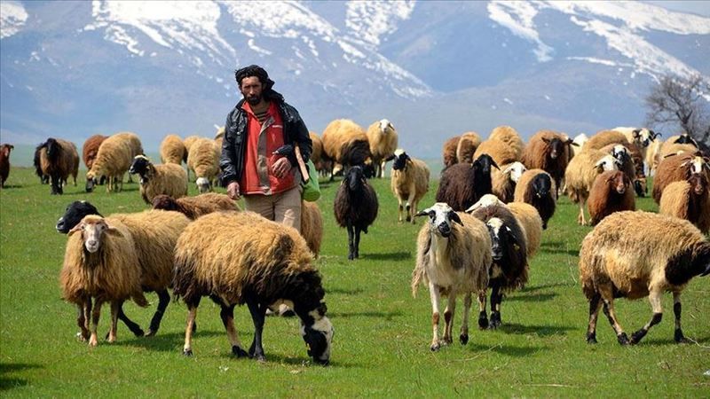 9000 prim gününe eşitlik talep edildi! Çiftçi ve hayvan yetiştiricilerinin emeklilik süreci… 2