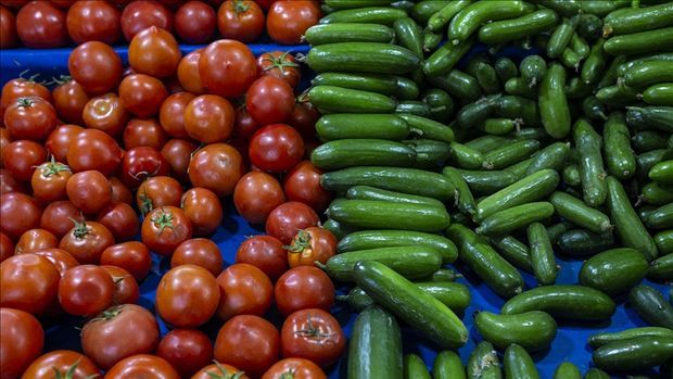 Domates ve salatalık hakkındaki gerçek ortaya çıktı! Muhteşem ikilinin zararları… 1