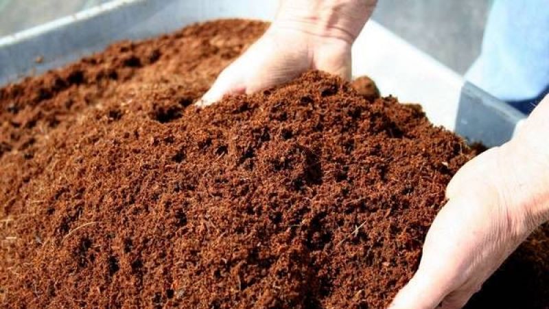 Solucan Gübresinin Faydaları Nelerdir? Hem Daha Pratik Hem Daha Verimli Olan Solucan Gübresi Nasıl Elde Edilir? 3