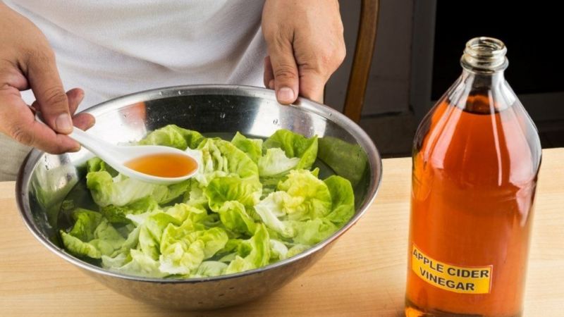 Hangi Sebze ve Meyve Ne Zaman Ekilmeli? Sağlıklı Beslenme Adına Aylara Göre Sebze ve Meyve Üretimi! 3
