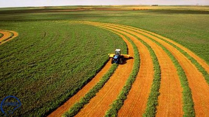 Türkiye’nin Tarım İhracatında İlk Çeyrekte Rekor Rakam! 8 Milyar 626 Milyon Dolar Kazanç İle En Çok Hangi Ürünler Satıldı? 1