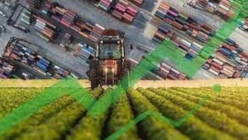 Türkiye’nin Tarım İhracatında İlk Çeyrekte Rekor Rakam! 8 Milyar 626 Milyon Dolar Kazanç İle En Çok Hangi Ürünler Satıldı? 2