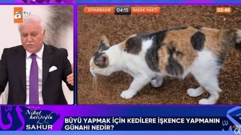 Gaziantep İslam Bilim ve Teknoloji Üniversitesi Kurucu Rektörü Nihat Hatipoğlu’na Gelen, Büyü Yapmak İçin Kedi Kuyruğu Kesmek Sorusu Gündem Oldu! Ünlü İlahiyatçı Uyardı! 2