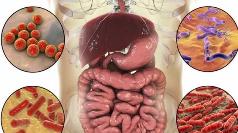 Ramazan Ayında Bağırsak Sorunu Yaşamamak İçin Yapılması Gerekenler! Bu Adımlara Uyarak Daha Rahat Bir Oruç Tutmak Mümkün! 3