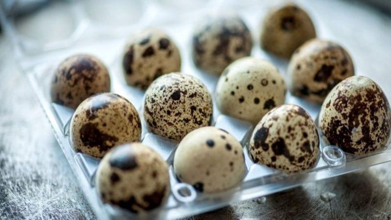 Bıldırcın yumurtası ile vücudunuza iyi bakın! Yüksek tansiyondan kurtaran bıldırcın yumurtasının tüm faydaları! 3