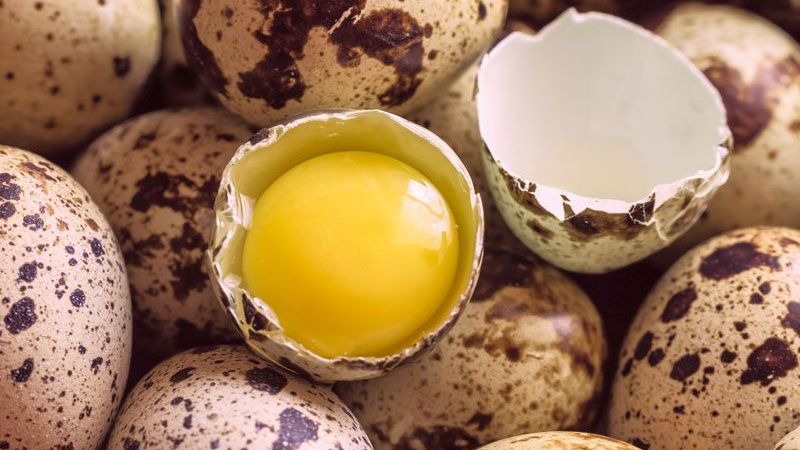 Bıldırcın yumurtası ile vücudunuza iyi bakın! Yüksek tansiyondan kurtaran bıldırcın yumurtasının tüm faydaları! 2