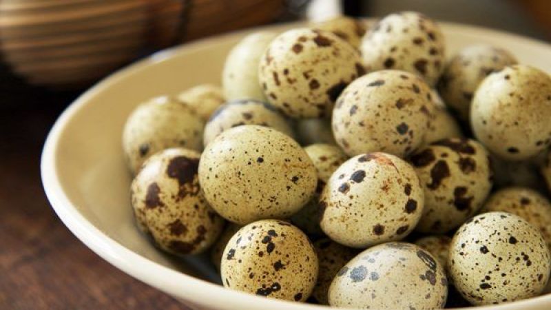 Bıldırcın yumurtası ile vücudunuza iyi bakın! Yüksek tansiyondan kurtaran bıldırcın yumurtasının tüm faydaları! 1