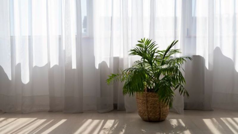 Sararmış perdelere sahip olanlar dikkat! İşte perdeleri bembeyaz yapacak o formül! 1