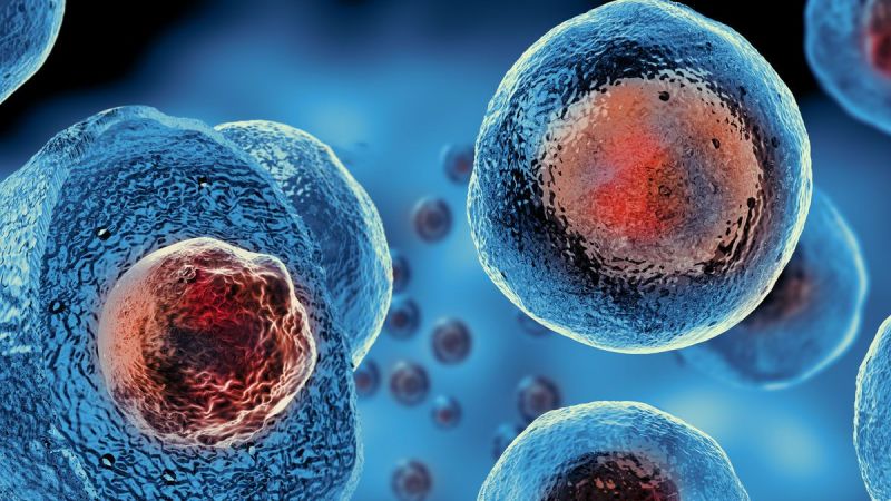 Kanser Aşısında Yarı Yarıya Başarı Elde Edildi! İlaç Şirketi Daha Önce Covid-19 İçin Mrna Aşısı Geliştirmişti! 2