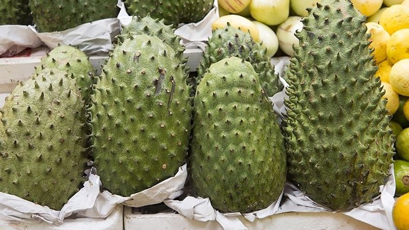 Kansere dair araştırmalar devam ediyor! Bu meyvenin tüketimi ise kanseri… 3