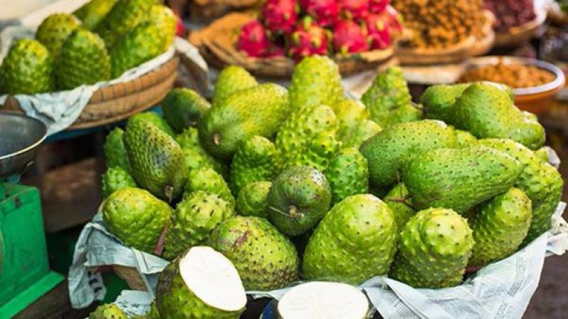 Kansere dair araştırmalar devam ediyor! Bu meyvenin tüketimi ise kanseri… 1