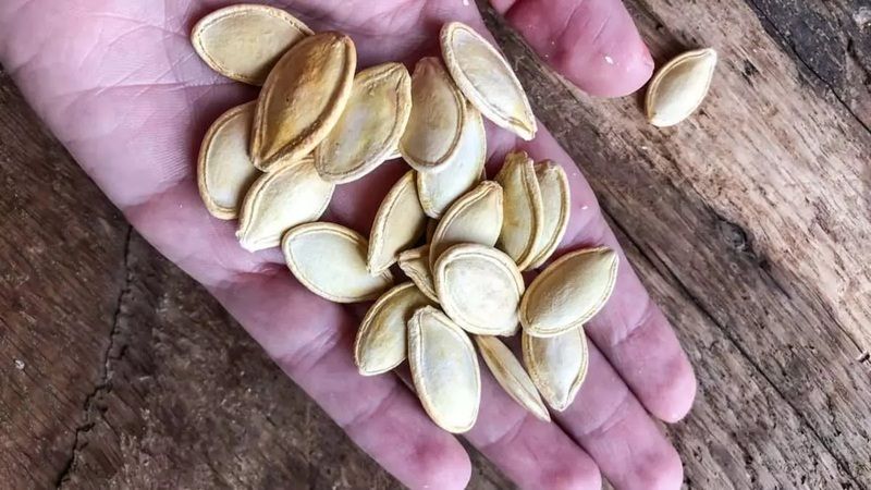 Sevilerek tüketilen kabak çekirdeğinin çok bilinmeyen yanları! Bağırsaklar için ciddi zarar olabilir! 1