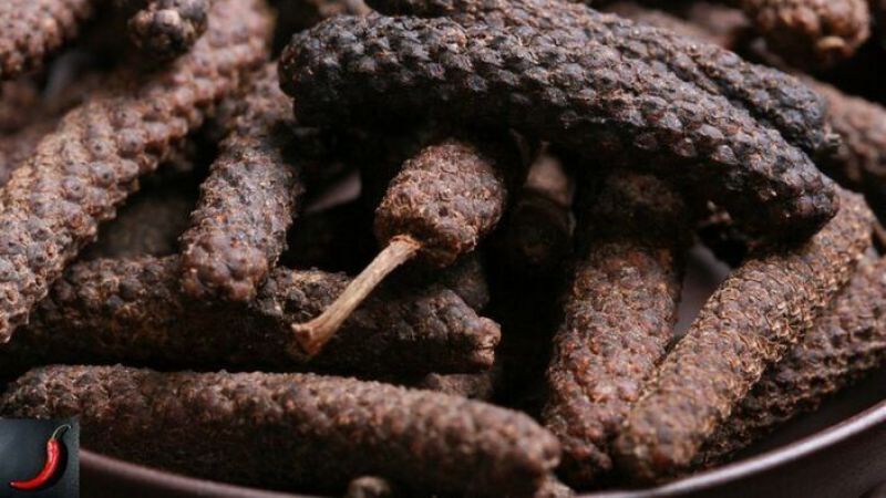 Kaliteli cinsellik için tüm kuvveti içinde gizliyor! Doğu Hindistan’ın yerel baharatı Osmanlı’da yeşerdi! 3