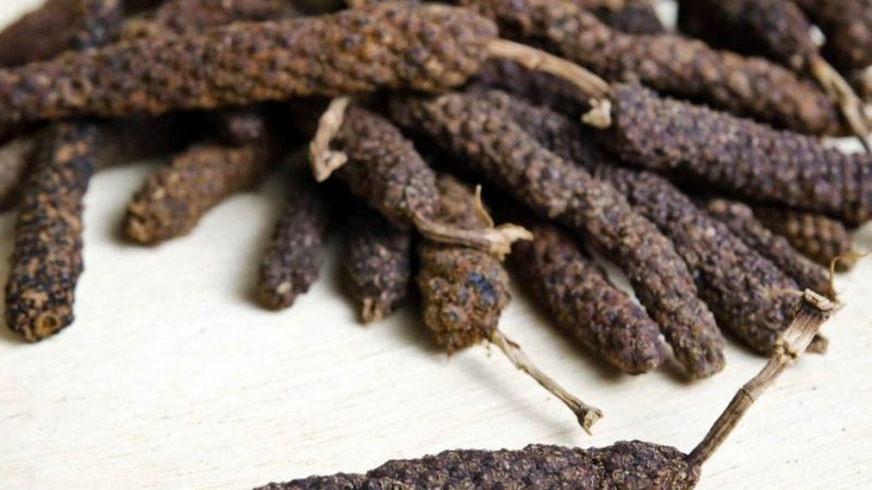 Kaliteli cinsellik için tüm kuvveti içinde gizliyor! Doğu Hindistan’ın yerel baharatı Osmanlı’da yeşerdi! 1