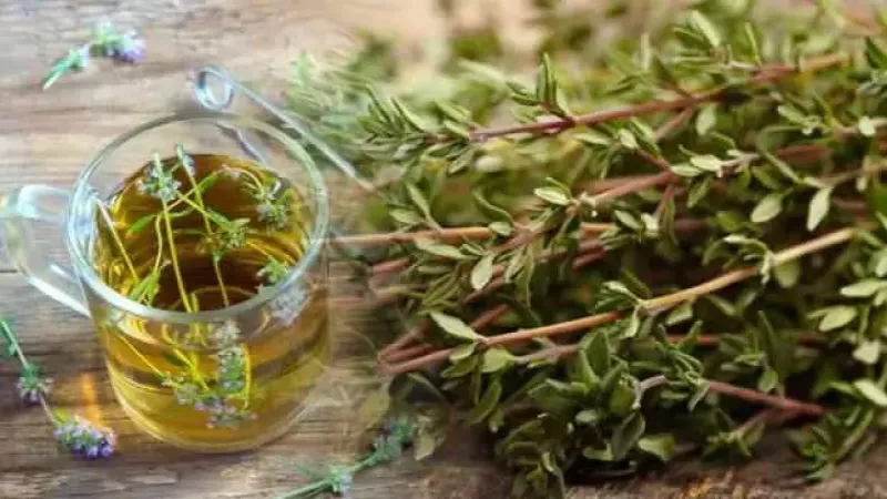 Faydaları Saymakla Tükenmeyen O Bitki! Yağından, Suyundan Faydalanmak Mümkün! Tam Bir Şifa Kaynağı! 1