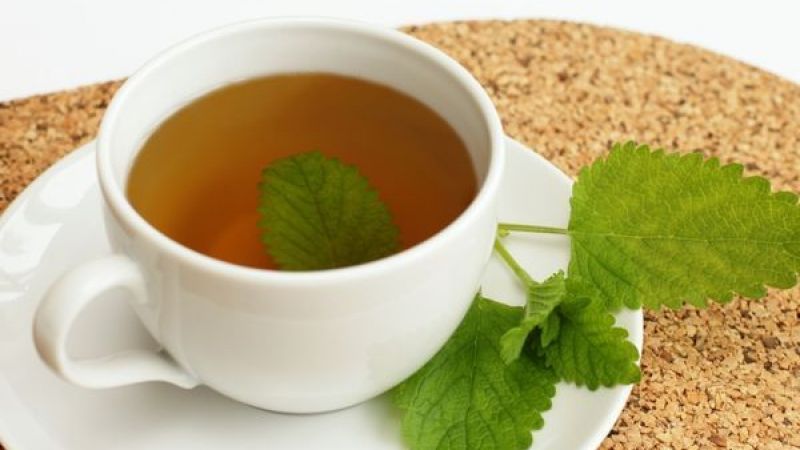 Kanserli Hücreyi Yok Ettiği Açıklandı! Limon Otunun Faydaları Saymakla Bitmiyor! 3