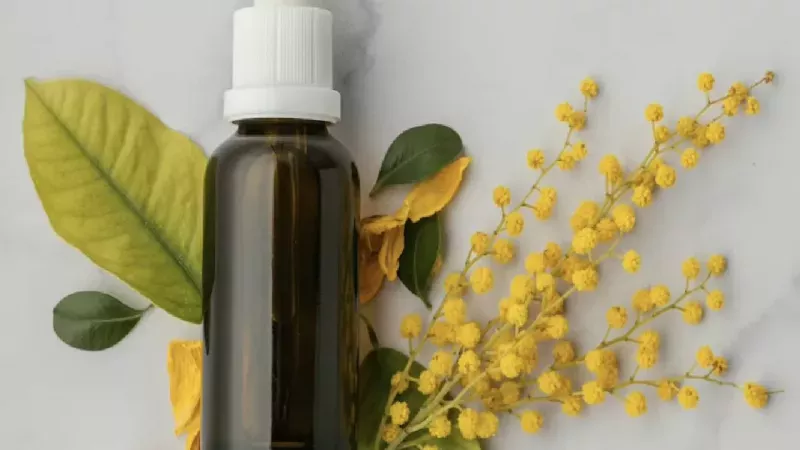 Uçucu Yağ Nedir? Uçucu Yağları Diğerlerinden Ayıran Özellikler ve Kullanım Alanları! 2