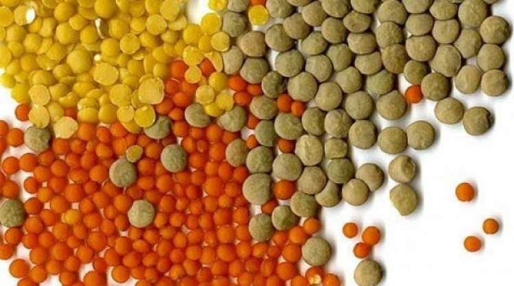 Rüyada Yeşil Mercimek Görmek Ne Anlama Gelir, Neye İşarettir? Anlamı, Yorumu 1