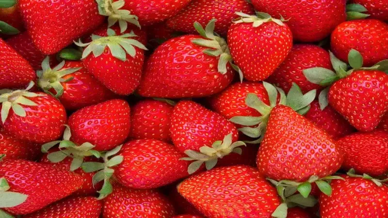 Severek Yediğiniz Çilek Sizi Tehlikeye Atmasın! Çilek Alerjisi Belirtileri Nelerdir? 2