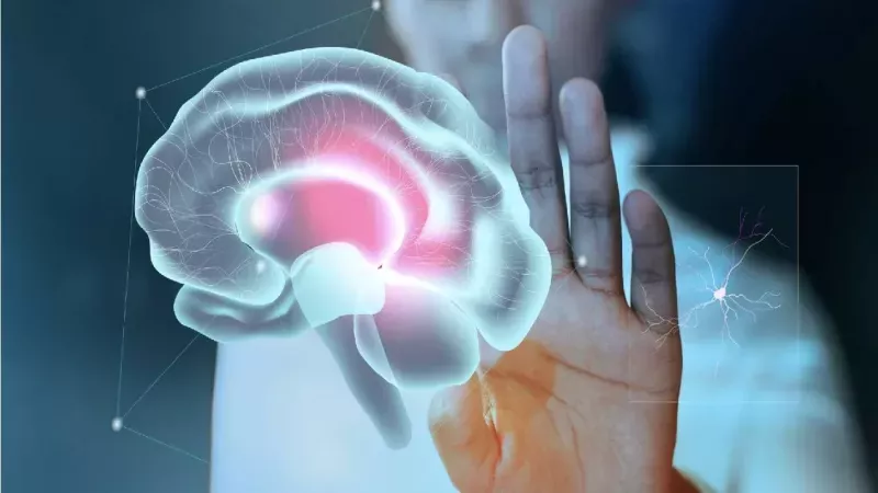 Bu Anı Daha Önce Yaşamıştım Hissi İçin Bilimsel Açıklama! Dejavuya Dair Farklı Yorumlar! 2