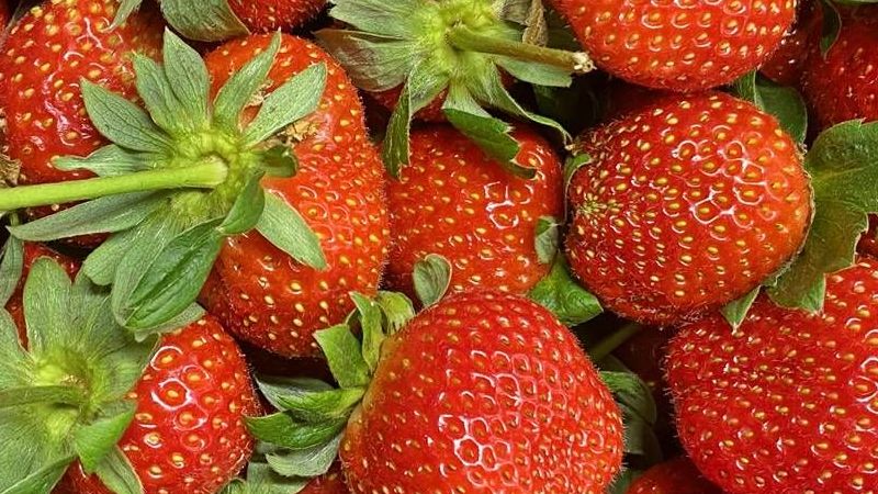 Çilekleri doğru temizle, besin değerlerini koru! 1