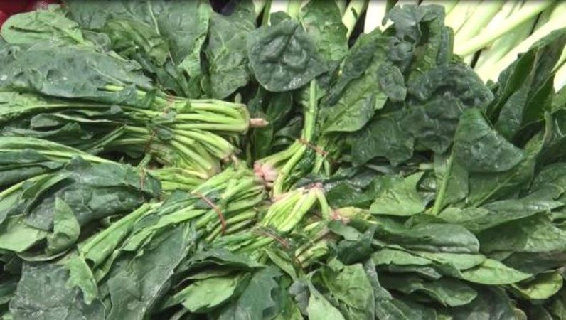 Alzheimer’e yakalanma riskinizi en aza indirin! Bu besinleri tabağınızdan eksik etmeyin! 1