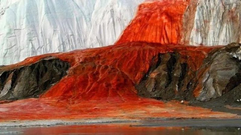 Antarktika'daki kan şelaleleri: Doğanın sırrı çözülüyor mu? 1