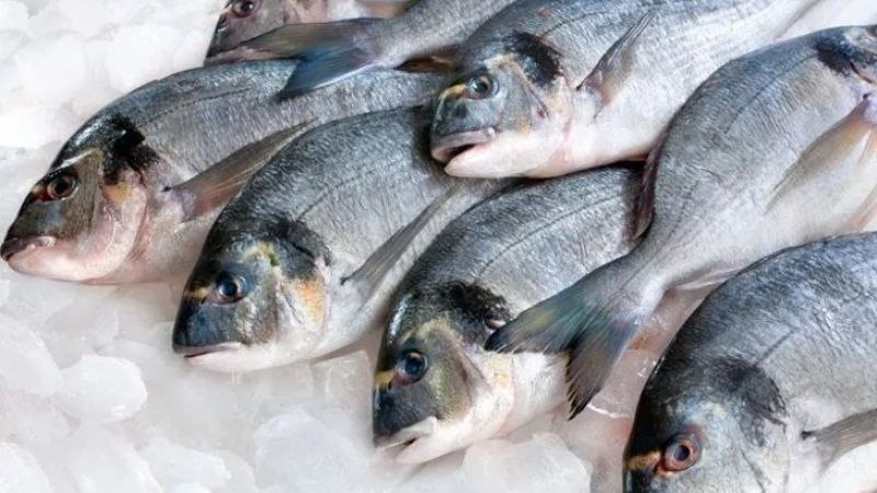 Güçlü bir hafıza için tüketilmesi gerekenler! Uzman isimden takviye besinler! 4