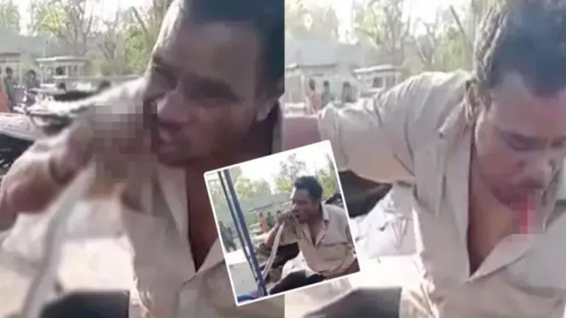 Görüntüler Hindistan'dan... Dondurmacı, yakaladığı yılanı canlı canlı yedi! 1