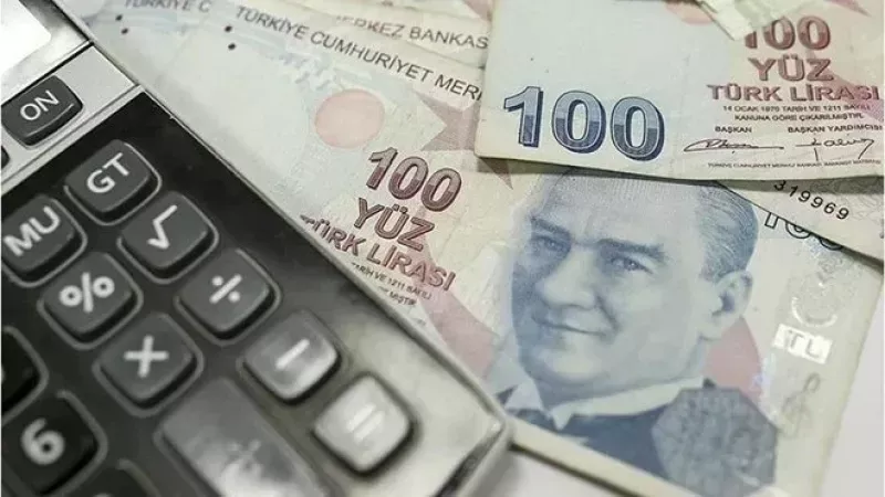 Devlete olan borçların yapılandırılması Resmi Gazete'de: Süre uzatıldı mı? İşte ayrıntılar... 3