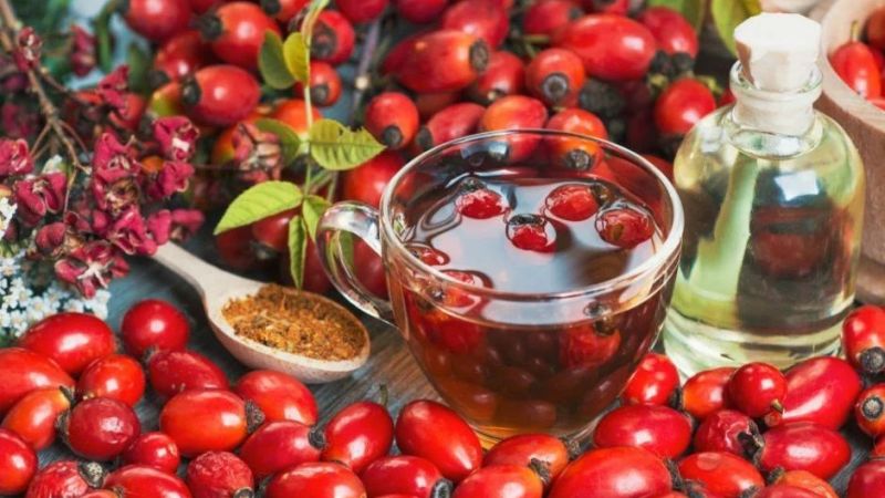 Kuşburnu diyabet başta olmak üzere birçok hastalık için olumlu etkiye sahip! Günde sadece 5 gram tüketerek diyabet tedavisinde etken rol oynayabilir! 4