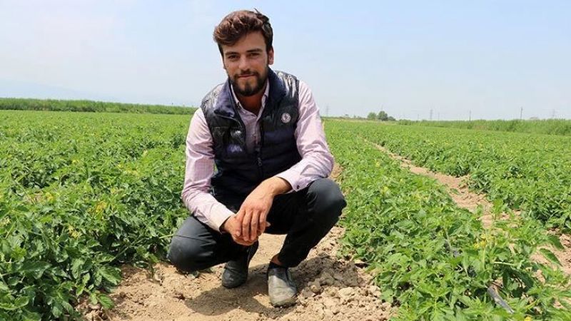 Ne de olsa anne! Yavruları için traktörün önüne atlayan kuş görenleri duygulandırdı... 4