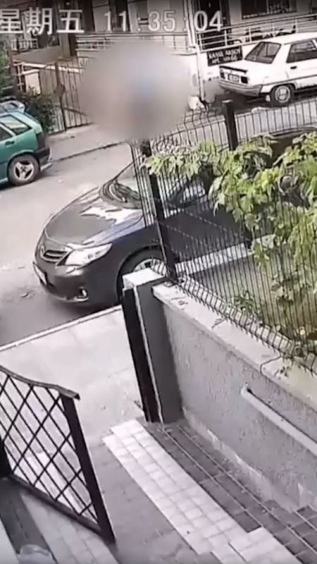 Hatay'da kan donduran görüntü güvenlik kamerasına yansıdı! Gündüz vakti köpeğe tecavüz etti... 3