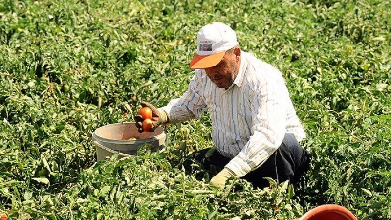 Çiftçiler için büyük müjde açıklandı: Destek ödemeleri bugün yatırıldı! Çiftçi destek ödemesi başvurusu… 2