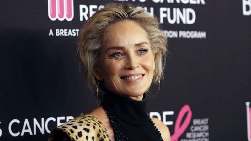 Sharon Stone’un haklı isyanı: Beni görmezden geldiler! 2