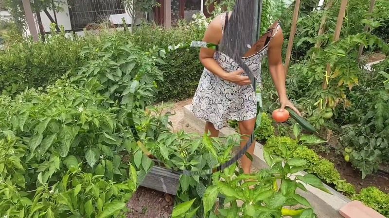 Gaziantep'te köye dönüş desteği devam ediyor! Peki, köye dönüş projesi şartları neler? Ev, yol yardımı ve hibe… Köye dönüş desteği nasıl alınır? 3