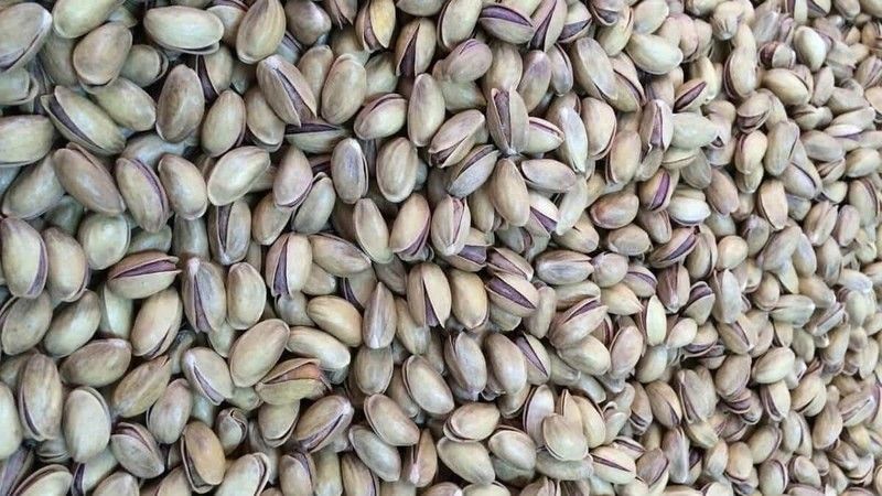 ANTEP FISTIĞI FİYATLARI RESMEN UÇUYOR! 9 Haziran 2023 Antep fıstığı fiyatları: Boz iç 546 TL, kırmızı kabuklu 204 TL! 2