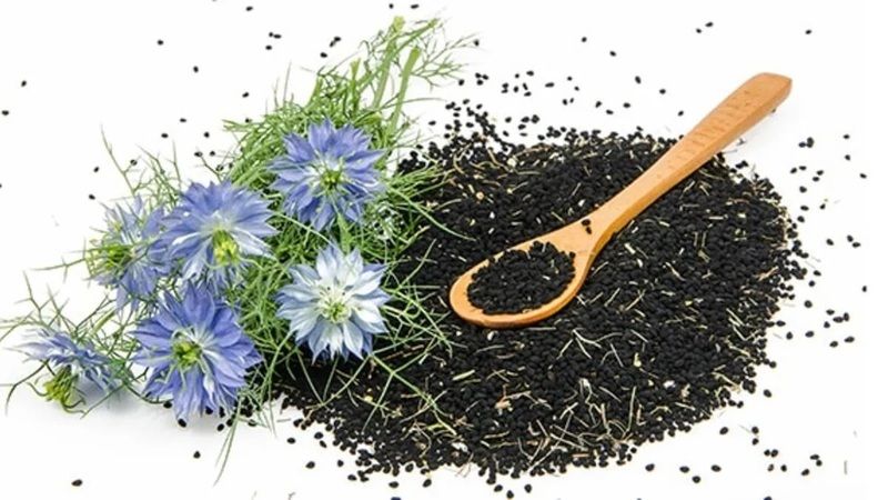 Ölüm haricinde her soruna çözüm sunan kara mucize! Çörek otunun mucizevi etkileri! 3