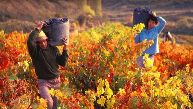 15 Haziran 2023 Gaziantep Ticaret Odası Antep fıstığı fiyatları: O cins, 126 TL'den satışa sunuldu! 3