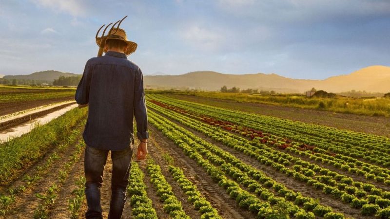 Gaziantep'te Çiftçilere bayram hediyesi geldi! Destek ödemeleri hesaplara aktarılmaya başlandı! 1