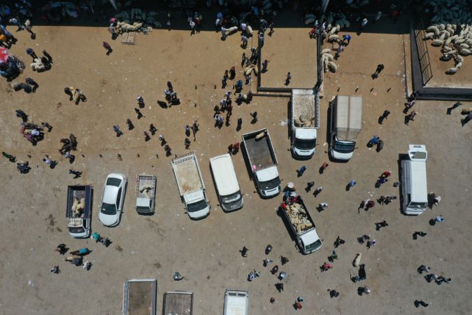 Gaziantep'te hayvan pazarında arife günü yoğunluğu yaşanıyor... Gaziantep'te Vatandaşlar Kurban Fiyatları'ndan yakınıyor 1
