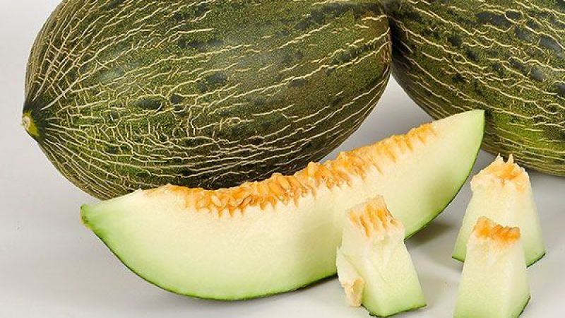 Bütün Gün Ekrana Bakanlar Dikkat: Bu Meyveyle Göz Sağlığınızı Koruyabilirsiniz! 1