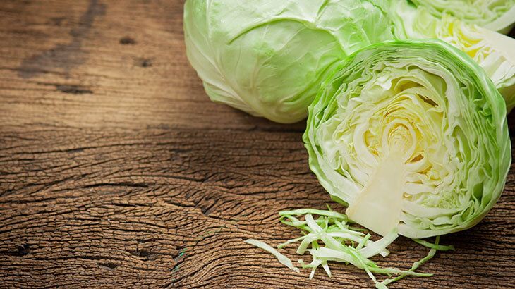 Kanser Riskini Önlüyor! Uzmanlar Bu Mutlaka Tüketilmesi Gereken O Gıdaları Açıkladı! 2