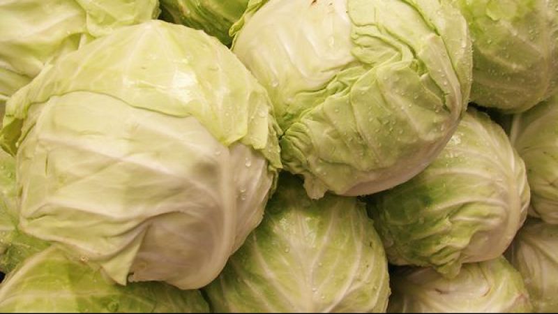 Kanser Riskini Önlüyor! Uzmanlar Bu Mutlaka Tüketilmesi Gereken O Gıdaları Açıkladı! 1