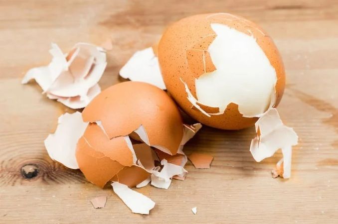 Çöpe atmak yerine bu şekilde değerlendirebilirsiniz! Çöpe atmak yerine şaşırıcı şeyler yapabileceğiniz 5 öneri! 3
